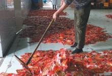 “五毛零食”扎堆農村學校周邊 部分零食食品添加劑超標