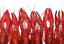 網紅小龍蝦凈利高達80% 洗牌速度遠超其他行業