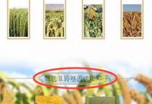 市面上尚無轉(zhuǎn)基因小米 崔永元網(wǎng)店想賣