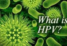 諾貝爾生理學(xué)或醫(yī)學(xué)獎(jiǎng)風(fēng)向標(biāo):HPV疫苗研究進(jìn)展!