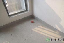 臺(tái)東縣發(fā)生地震 地震來臨該怎么做