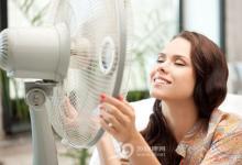 舔手腕、把床單放進冰箱 教你簡單幾招趕跑炎熱
