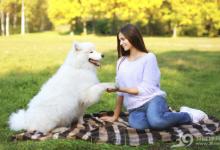 汪星人和喵星人，哪個更懂主人的情緒？