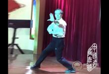 上海崇明戴迪養生基地舉行中華武藝展示活動