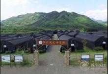 七夕情人節 來一場與靈芝之戀的千年之約