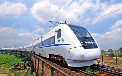 加州不還高鐵撥款 坐高鐵的注意事項有哪些 加州不還高鐵撥款 坐高鐵的注意事項有哪些