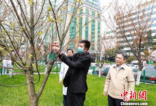 男子罹患多種疾病 同時換心臟和主動脈獲新生