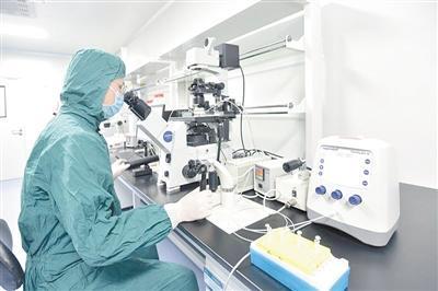 想不到!肝臟里的小油滴會啟動免疫“毀滅”程序