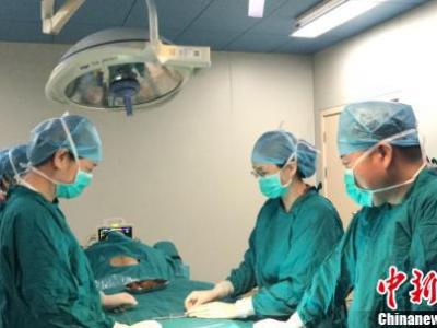 “中國胎兒宮內治療協作網絡”啟動 規范胎兒宮內治療