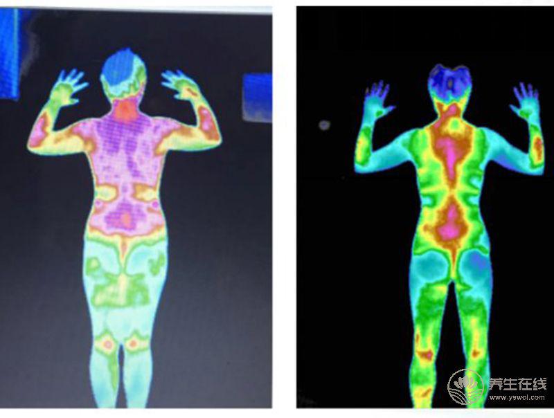 健康本源探秘！李麗莎博士匠心筑夢大健康產業！