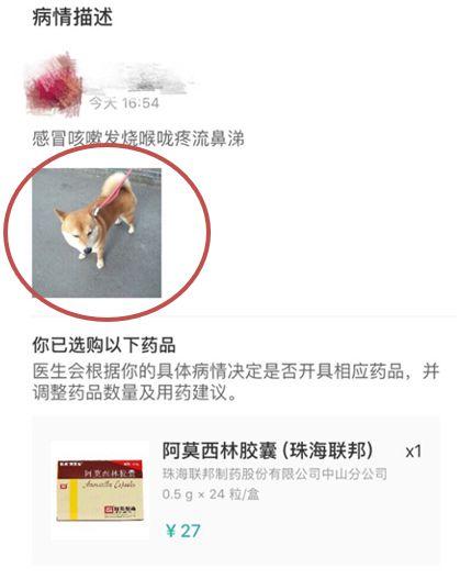 寵物照片充當處方竟能網購處方藥-易網<a href=http://www.xllyou.com/ target=_blank class=infotextkey>健康養生</a>網 寵物照片充當處方竟能網購處方藥