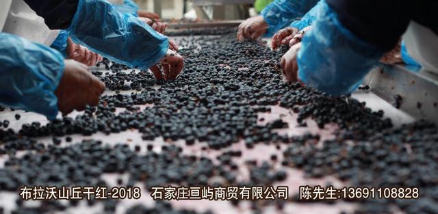 葡萄酒怎么醒酒？手把手教你醒酒—布拉沃山丘干紅葡萄酒-2018