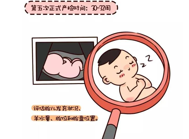 石家莊港大婦產(chǎn)醫(yī)院:孕期檢查知多少,孕媽媽必知的孕期檢查時間表!-易網(wǎng)健康養(yǎng)生網(wǎng) 石家莊港大婦產(chǎn)醫(yī)院:孕期檢查知多少,孕媽媽必知的孕期檢查時間表!