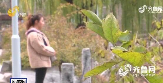 濟(jì)南熙美人整形醫(yī)院把人鼻子嗅覺給整沒了?醫(yī)院:需第三方鑒定-易網(wǎng)健康<a href=http://www.xllyou.com/jkys/ target=_blank class=infotextkey>養(yǎng)生</a>網(wǎng) 濟(jì)南熙美人整形醫(yī)院把人鼻子嗅覺給整沒了?醫(yī)院:需第三方鑒定