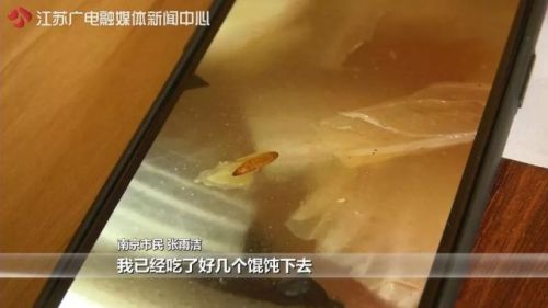 南京大美母嬰月子會所遭投訴：餛飩藏蟲蛹 湯里漂蜈蚣