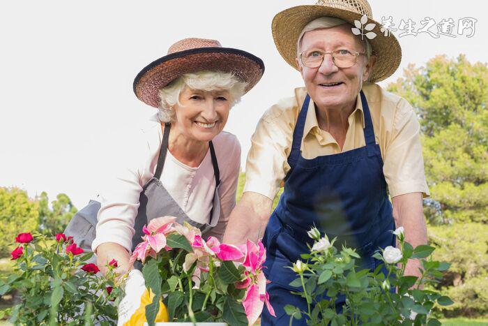 全球新冠日新增確診創(chuàng)紀錄 吃卷心菜能降低新冠死亡率嗎