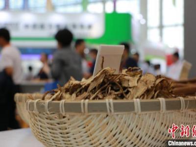 中藥材質(zhì)量現(xiàn)況令人擔(dān)憂 急待有“地頭”到“臥室床”的追溯