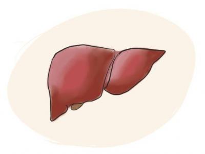 中國慢性肝病患者或超4億人 如何呵護“小心肝”?