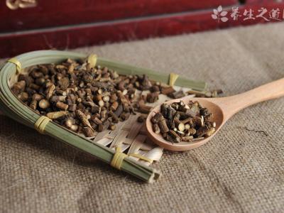 首次審議中醫藥法草案 中藥制劑備案管理