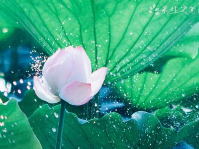 河南遭遇極端強降雨 嵩山新密現歷史大暴雨