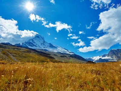 河南為何成為全國強降雨中心 原因竟是“它”