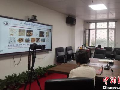 河南中醫名家向30余個海外僑社團直播中醫藥防疫