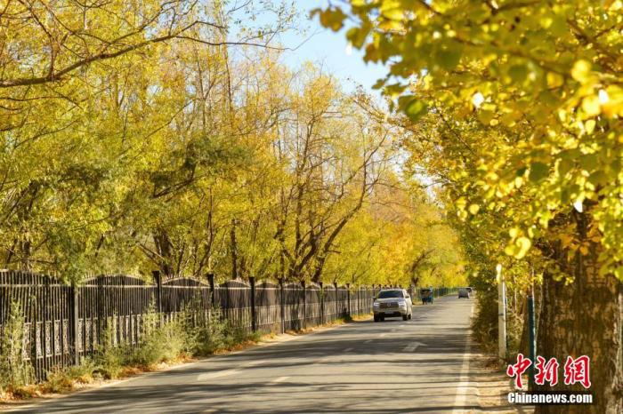 又到一年秋游好時節 專家提醒警惕秋季花粉過敏