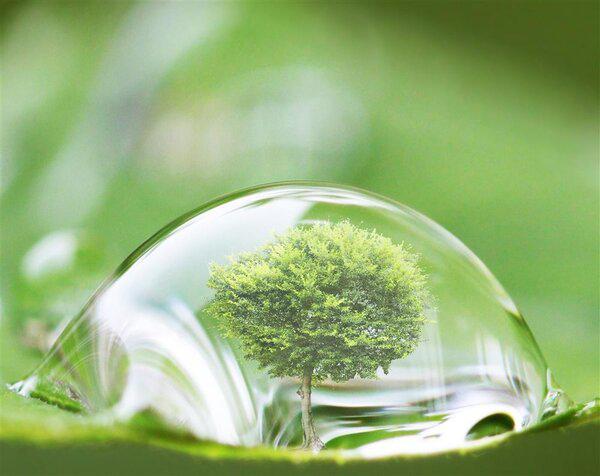 為啥要買綠化好的小區?PNAS:小區綠化好,小孩成年后精神病風險降低-易網健康<a href=http://www.xllyou.com/jkys/ target=_blank class=infotextkey>養生</a>網 為啥要買綠化好的小區?PNAS:小區綠化好,小孩成年后精神病風險降低