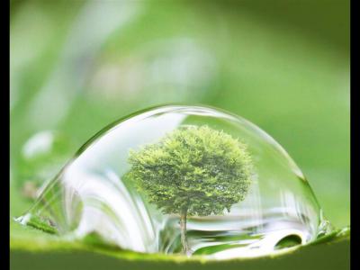 為啥要買綠化好的小區?PNAS:小區綠化好,小孩成年后精神病風險降低