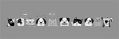 鏟屎官注意 貓抓病了解下-易網健康<a href=http://www.xllyou.com/jkys/ target=_blank class=infotextkey>養生</a>網 鏟屎官注意 貓抓病了解下