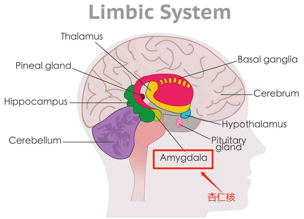 拖延癥的原因找到了,我打算明天再看-易網<a href=http://www.xllyou.com/ target=_blank class=infotextkey>健康養生</a>網 拖延癥的原因找到了,我打算明天再看