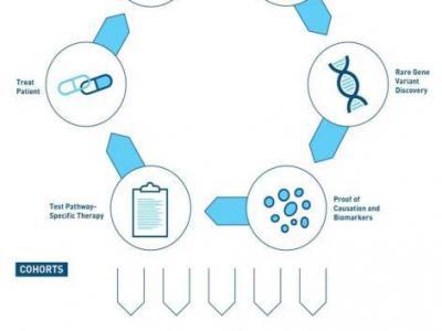 中外科學家協同攻關 抓住導致狼瘡發病的“元兇”