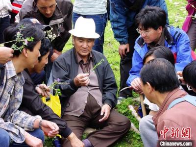 青海首次啟動(dòng)建設(shè)中藏醫(yī)流派傳承工作室