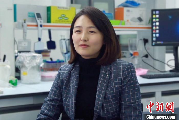 滬科研團隊：過量補充葉酸或葉酸代謝不足對生物體早期發育有負面作用