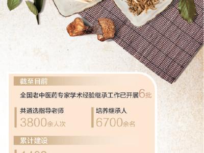 讓中醫“絕技”代代相傳（深度觀察）