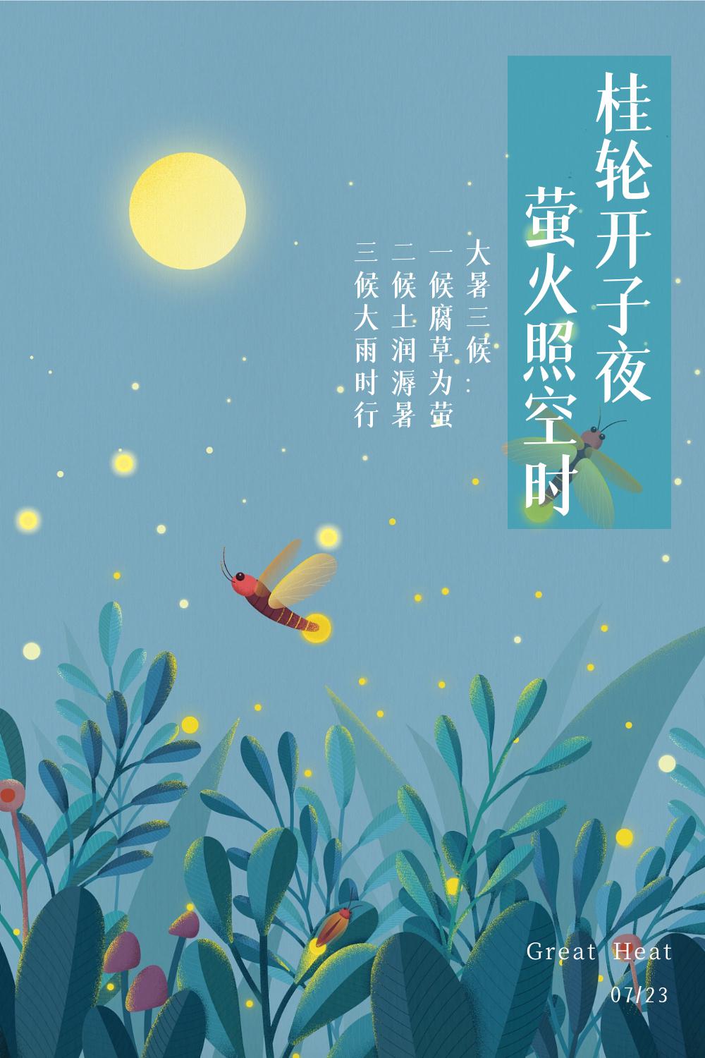 今日大暑宜靜心賞荷