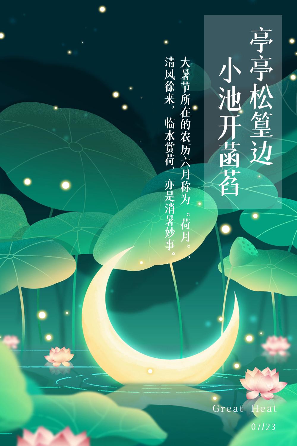 今日大暑宜靜心賞荷