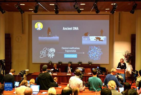 瑞典科學家獲2022年諾貝爾生理學或醫(yī)學獎-易網(wǎng)健康養(yǎng)生網(wǎng) 瑞典科學家獲2022年諾貝爾生理學或醫(yī)學獎