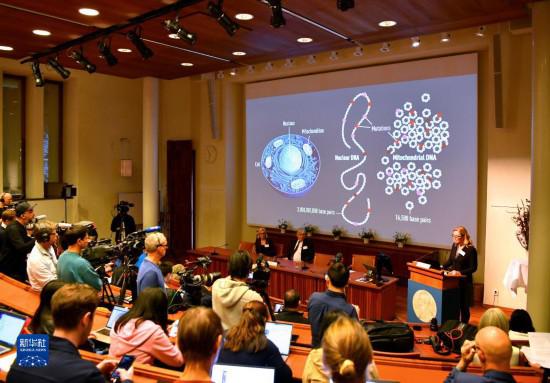 瑞典科學家獲2022年諾貝爾生理學或醫(yī)學獎-易網(wǎng)<a href=http://www.xllyou.com/ target=_blank class=infotextkey>健康養(yǎng)生</a>網(wǎng) 瑞典科學家獲2022年諾貝爾生理學或醫(yī)學獎