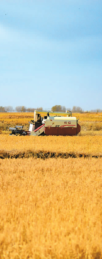 中國力度催人奮進-易網健康<a href=http://www.xllyou.com/jkys/ target=_blank class=infotextkey>養(yǎng)生</a>網 中國力度催人奮進