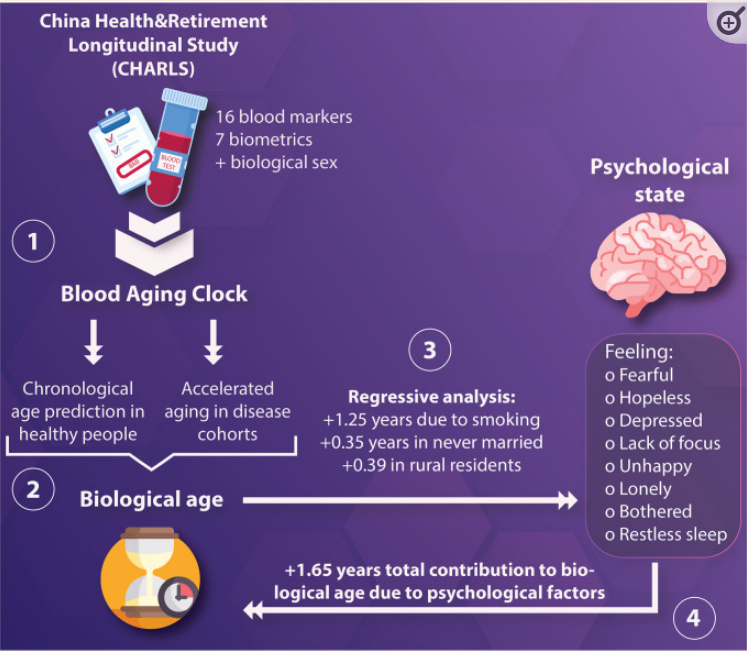 中國萬人研究:8大負面情緒堪稱“催老劑”,比抽煙還傷身-易網(wǎng)<a href=http://www.xllyou.com/ target=_blank class=infotextkey>健康養(yǎng)生</a>網(wǎng) 中國萬人研究:8大負面情緒堪稱“催老劑”,比抽煙還傷身