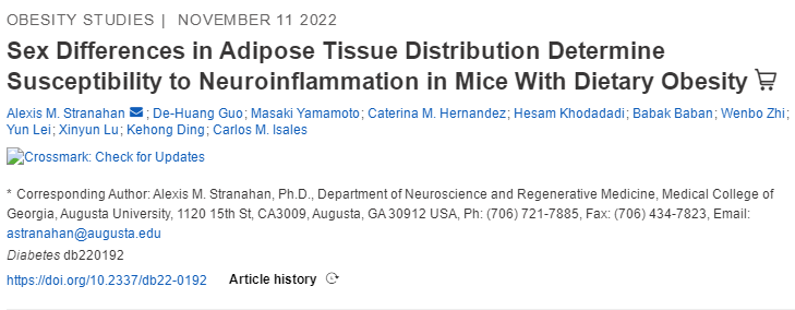 一胖毀所有?不,被你嫌棄多年的脂肪,其實(shí)好處不少-易網(wǎng)<a href=http://www.xllyou.com/ target=_blank class=infotextkey>健康養(yǎng)生</a>網(wǎng) 一胖毀所有?不,被你嫌棄多年的脂肪,其實(shí)好處不少