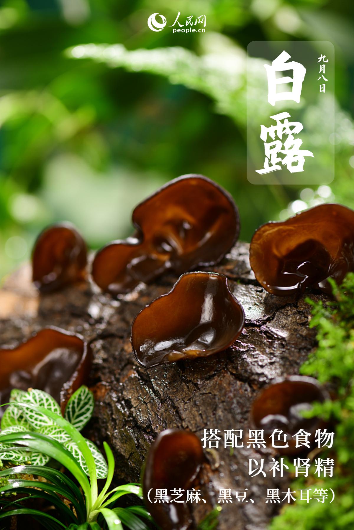 白露寒氣生，養(yǎng)生應(yīng)注意哪些要點(diǎn)？