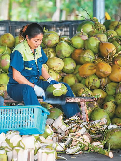 解鎖美味密碼 海南“椰風”正勁-易網健康養生網 解鎖美味密碼 海南“椰風”正勁