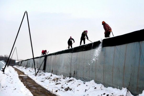 大范圍降雪降溫來襲,這些事項要注意-易網<a href=http://www.xllyou.com/ target=_blank class=infotextkey>健康養生</a>網 大范圍降雪降溫來襲,這些事項要注意