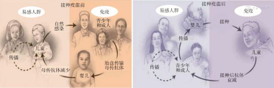 “肺”常時期,“咳”不容緩-易網健康養生網 “肺”常時期,“咳”不容緩