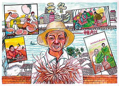 天冬種出“甜日子”-易網健康養生網 天冬種出“甜日子”