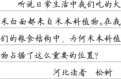 主食為何大多來自禾本科?(把自然講給你聽)