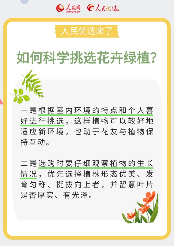 室內(nèi)花卉綠植怎么選?實(shí)用小貼士請(qǐng)查收-易網(wǎng)<a href=http://www.xllyou.com/ target=_blank class=infotextkey>健康養(yǎng)生</a>網(wǎng) 室內(nèi)花卉綠植怎么選?實(shí)用小貼士請(qǐng)查收