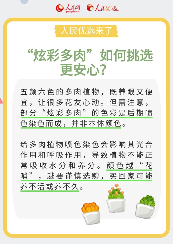 室內(nèi)花卉綠植怎么選?實(shí)用小貼士請(qǐng)查收-易網(wǎng)健康養(yǎng)生網(wǎng) 室內(nèi)花卉綠植怎么選?實(shí)用小貼士請(qǐng)查收